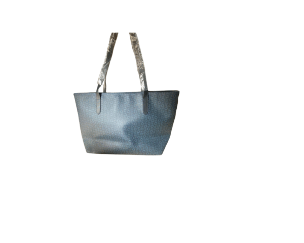 Tas Model Guess