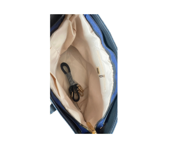 Tas Model Guess