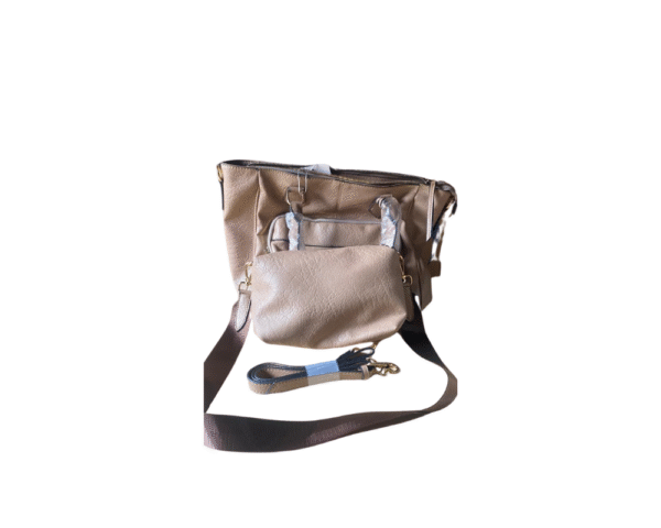 Tas model fossil